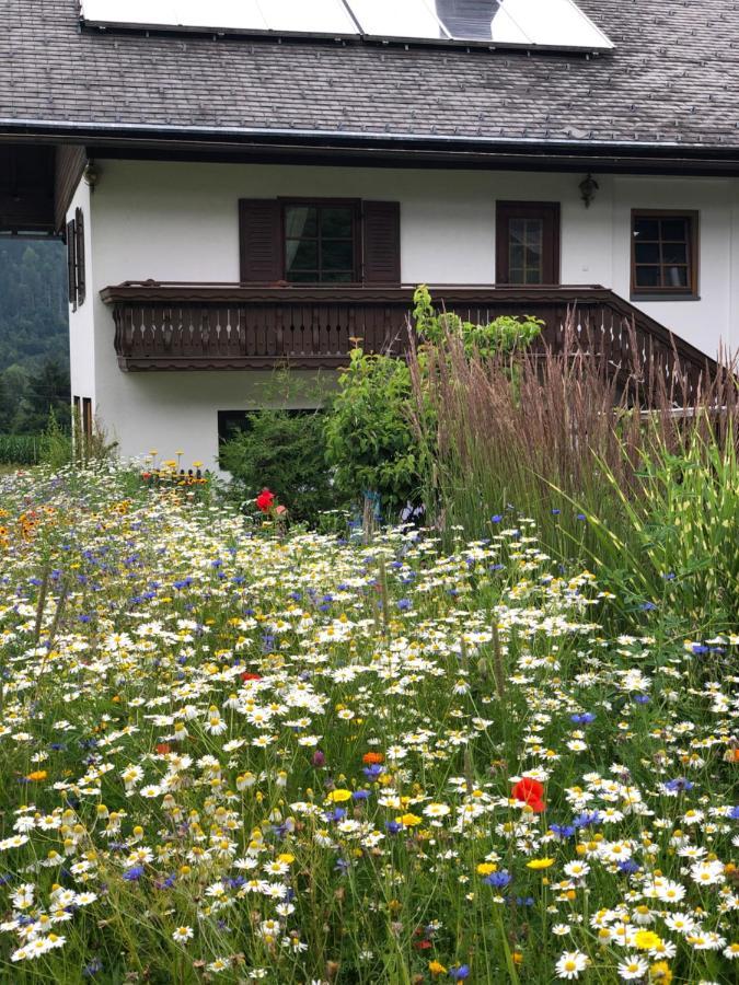 Ferienwohnung Lassendorf Hermagor-Pressegger See Buitenkant foto