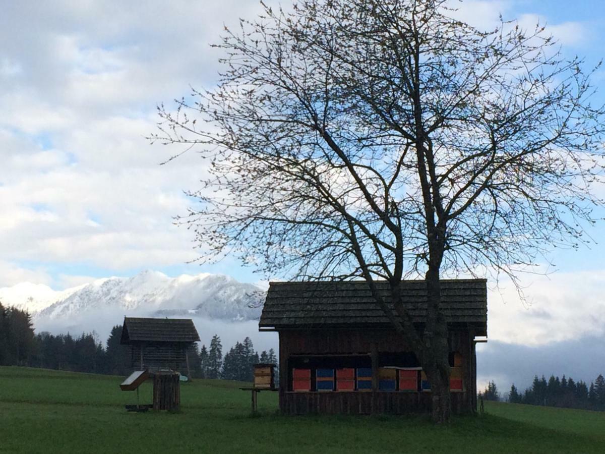 Ferienwohnung Lassendorf Hermagor-Pressegger See Buitenkant foto